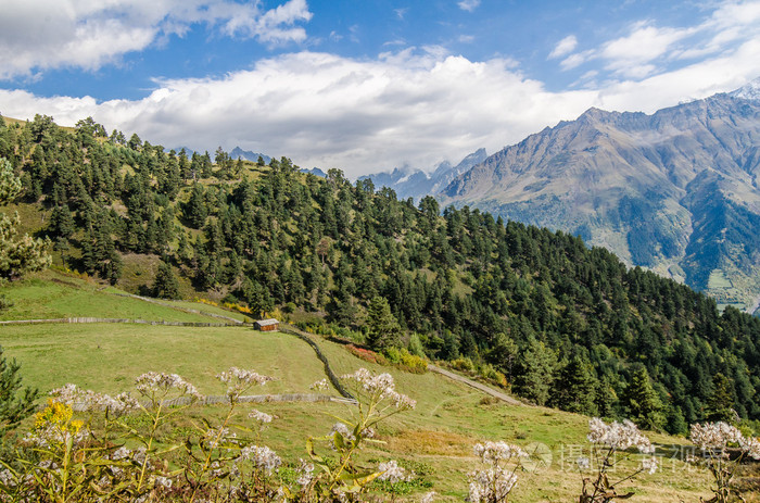 格鲁吉亚在主场战平拉脱维亚，不败战绩保持的简单介绍